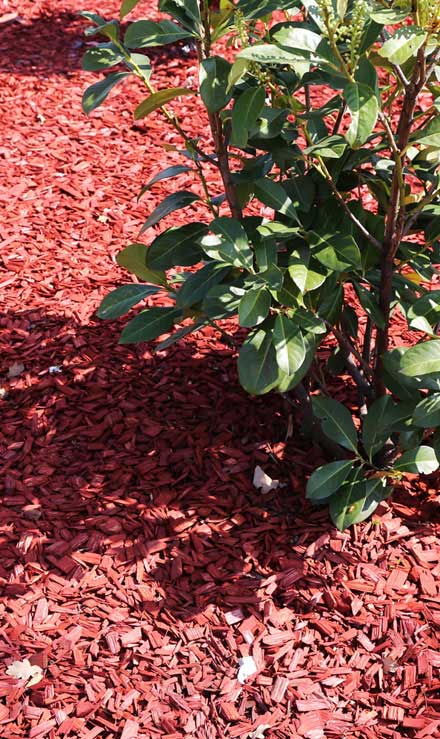 U.S. Green Pros a division of AKA Landscapes Mulching